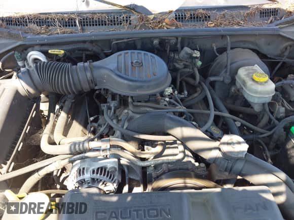 ✅ 2000 Dodge Dakota Sport • VIN: 1B7GL2AZ1YS730255 • Лот: 42826219. Размещён на IAAI с пробегом 190 037 миль миль. Получите бесплатный доступ к архиву аукционных продаж из США и посмотрите подробный отчёт об истории автомобиля на DreamBid. Изображение 10.