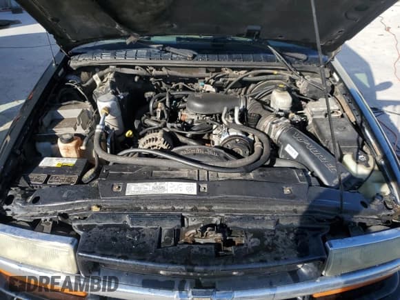 ✅ 2003 Chevrolet Blazer LS • VIN: 1GNDT13X83K182764 • Lot: 46125165. Wystawiony na Copart z przebiegiem Nie podano. Bezpłatny archiwum sprzedaży aukcyjnych z USA i szczegółowy raport historii pojazdu na DreamBid. Zdjęcie 12.