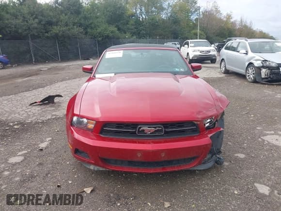 ✅ 2012 Ford Mustang Premium • VIN: 1ZVBP8EM5C5273857 • Lot: 43460330. Listed on IAAI with 106,751 mi. Free auction sales archive from the USA and detailed vehicle history report at DreamBid. Image 13.