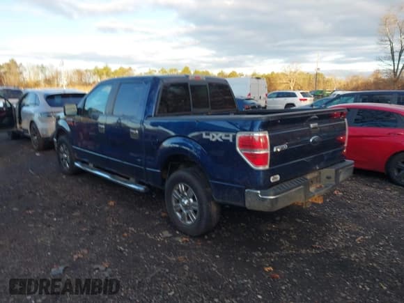 ✅ 2010 Ford F-150 XL • VIN: 1FTEW1E81AFA36612 • Lot: 43781730. Wystawiony na IAAI z przebiegiem 110 211 mil. Bezpłatny archiwum sprzedaży aukcyjnych z USA i szczegółowy raport historii pojazdu na DreamBid. Zdjęcie 14.