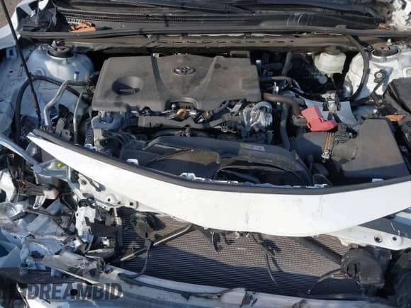 2021 Toyota Camry LE with VIN 4T1R11BK6MU034902, listed as a IAAI auction lot 41265861 with 32,060 mi miles and . Bid and sale history available at DreamBid. Image 10.