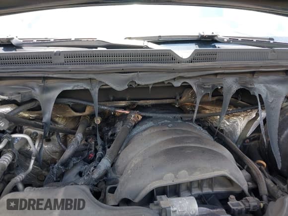 ✅ 2017 GMC Sierra 1500 • VIN: 1GTV2LEC4HZ111811 • Лот: 42928478. Опубликован ранее на IAAI с пробегом Не указан. Бесплатный доступ к архиву аукционных продаж из США и подробный отчёт об истории автомобиля на DreamBid. Изображение 6.