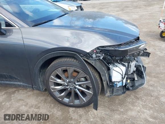 ✅ 2024 Toyota Crown XLE • VIN: JTDAAAAF3R3030244 • Lot: 41847152. Wystawiony na IAAI z przebiegiem 18 676 mil. Bezpłatny archiwum sprzedaży aukcyjnych z USA i szczegółowy raport historii pojazdu na DreamBid. Zdjęcie 19.