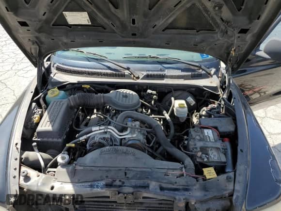 1998 Dodge Dakota SLT with VIN 1B7GG22Y6WS744109, listed as a Copart auction lot 71273154 with 155,566 mi miles and Salvage title. Bid and sale history available at DreamBid. Image 12.