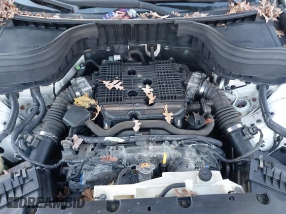 ✅ 2008 Infiniti EX Journey • VIN: JNKAJ09F88M352190 • Lot: 43819598. Wystawiony na IAAI z przebiegiem 186 575 mil. Bezpłatny archiwum sprzedaży aukcyjnych z USA i szczegółowy raport historii pojazdu na DreamBid. Zdjęcie 10.