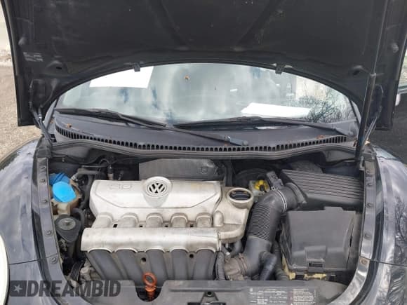 ✅ 2010 Volkswagen Beetle • VIN: 3VWPW3AG6AM021330 • Лот: 42094872. Опубликован ранее на IAAI с пробегом 124 908 миль. Бесплатный доступ к архиву аукционных продаж из США и подробный отчёт об истории автомобиля на DreamBid. Изображение 10.