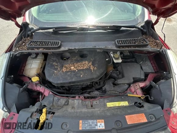 ✅ 2013 Ford Escape SE • VIN: 1FMCU9G95DUD25554 • Lot: 58242885. Wystawiony na Copart z przebiegiem Nie podano. Bezpłatny archiwum sprzedaży aukcyjnych z USA i szczegółowy raport historii pojazdu na DreamBid. Zdjęcie 7.