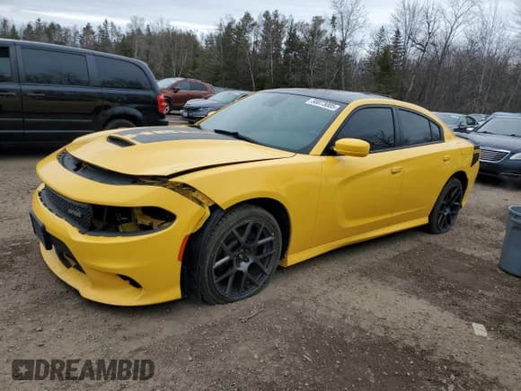 ✅ 2017 Dodge Charger R/T • VIN: 2C3CDXCT3HH583319 • Лот: 50073005. Опубликован ранее на Copart с пробегом 227 890 миль. Бесплатный доступ к архиву аукционных продаж из США и подробный отчёт об истории автомобиля на DreamBid. Изображение 1.