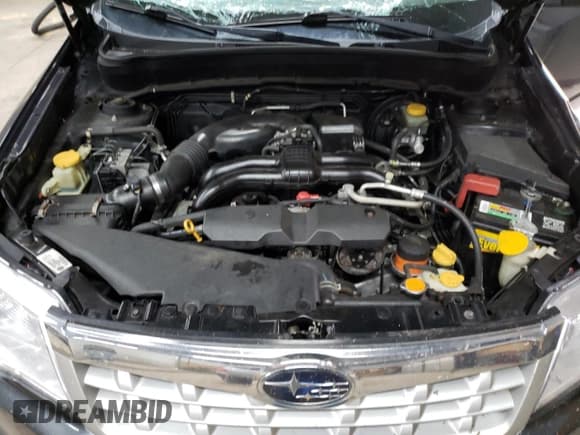 ✅ 2011 Subaru Forester X Premium • VIN: JF2SHBCC7BH700137 • Lot: 69188335. Wystawiony na Copart z przebiegiem 212 726 mil. Bezpłatny archiwum sprzedaży aukcyjnych z USA i szczegółowy raport historii pojazdu na DreamBid. Zdjęcie 12.