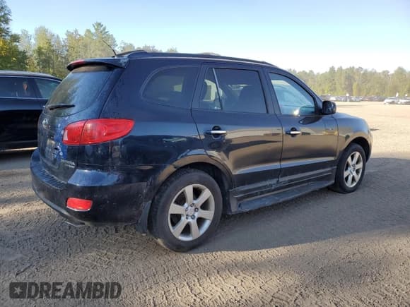 ✅ 2008 Hyundai Santa Fe SE • VIN: 5NMSH73E58H182632 • Lot: 80477245. Listed on Copart with 298,829 mi. Free auction sales archive from the USA and detailed vehicle history report at DreamBid. Image 3.
