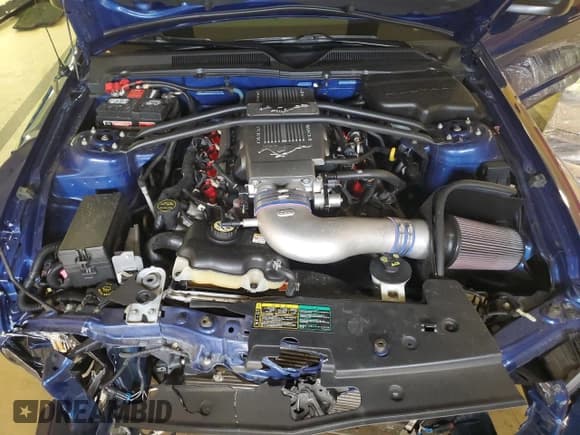 ✅ 2006 Ford Mustang GT Deluxe • VIN: 1ZVFT85HX65113624 • Lot: 86884745. Listed on Copart with 26,964 mi. Free auction sales archive from the USA and detailed vehicle history report at DreamBid. Image 11.