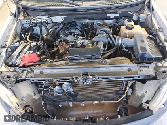 ✅ 2011 Ford F-150 XL • VIN: 1FTMF1CM0BKD77049 • Lot: 91425315. Wystawiony na Copart z przebiegiem 72 050 mil. Bezpłatny archiwum sprzedaży aukcyjnych z USA i szczegółowy raport historii pojazdu na DreamBid. Zdjęcie 11.