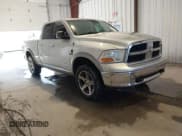 ✅ 2010 Dodge 1500 SLT • VIN: 1D7RV1GT3AS117632 • Lot: 41940483. Wystawiony na IAAI z przebiegiem 310 651 mil. Bezpłatny archiwum sprzedaży aukcyjnych z USA i szczegółowy raport historii pojazdu na DreamBid. Zdjęcie 1.