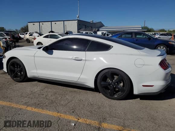 2023 Ford Mustang EcoBoost with VIN 1FA6P8TH0P5101855, listed as a Copart auction lot 81621795 with 20,005 mi miles and Salvage title. Bid and sale history available at DreamBid. Image 2.