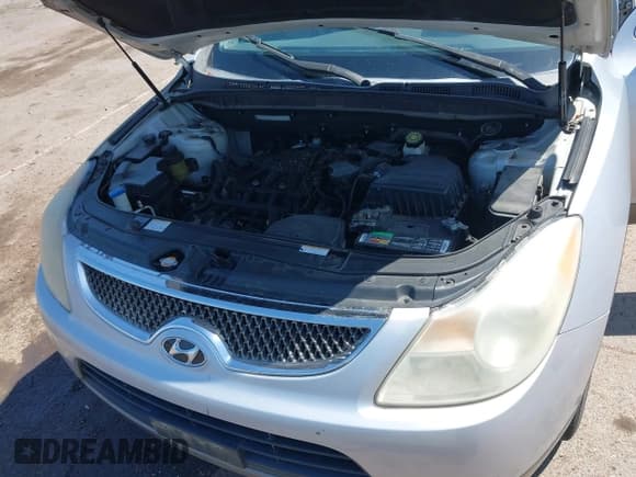 ✅ 2009 Hyundai Veracruz GLS • VIN: KM8NU73C29U080279 • Lot: 42538920. Listed on IAAI with 150,447 mi. Free auction sales archive from the USA and detailed vehicle history report at DreamBid. Image 10.