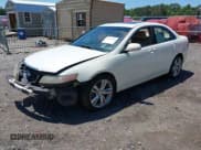 ✅ 2005 Acura TSX • VIN: JH4CL96885C033368 • Lot: 42316386. Listed on IAAI with 338,591 mi. Free auction sales archive from the USA and detailed vehicle history report at DreamBid. Image 2.