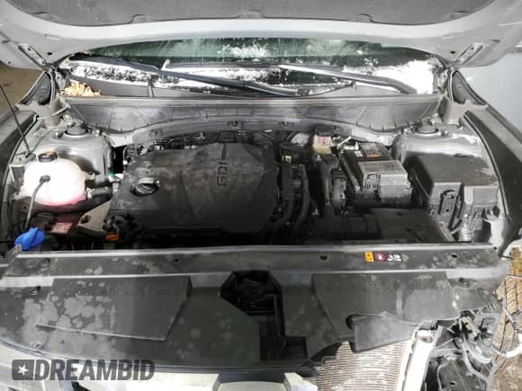 2024 Hyundai Santa Cruz SE with VIN 5NTJADDE9RH111792, listed as a Copart auction lot 88521615 with 19,212 mi miles and Salvage title. Bid and sale history available at DreamBid. Image 12.