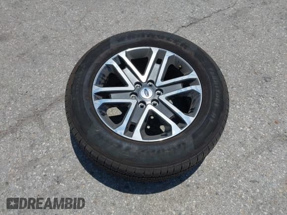 ✅ 2023 Ford F-150 XL • VIN: 1FTEW1CP6PKF62082 • Лот: 42433267. Опубликован ранее на IAAI с пробегом 18 538 миль. Бесплатный доступ к архиву аукционных продаж из США и подробный отчёт об истории автомобиля на DreamBid. Изображение 12.