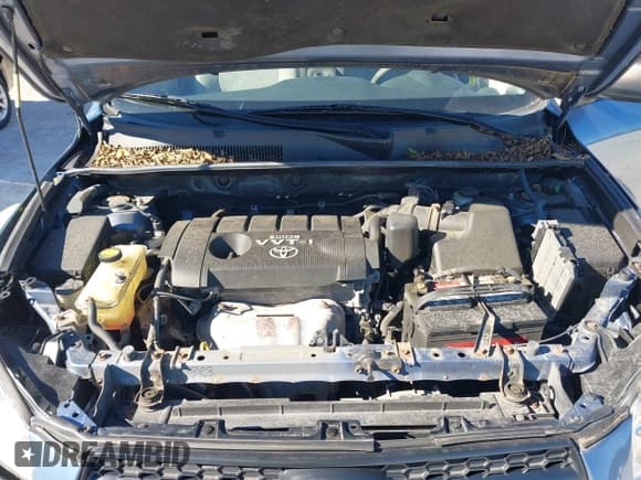 ✅ 2010 Toyota RAV4 • VIN: 2T3BF4DV7AW034163 • Лот: 43647884. Опубликован ранее на IAAI с пробегом 146 397 миль. Бесплатный доступ к архиву аукционных продаж из США и подробный отчёт об истории автомобиля на DreamBid. Изображение 10.