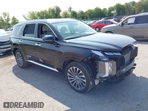 ✅ 2024 Hyundai Palisade Calligraphy • VIN: KM8R7DGE8RU795005 • Лот: 43174825. Опубликован ранее на IAAI с пробегом 7 807 миль. Бесплатный доступ к архиву аукционных продаж из США и подробный отчёт об истории автомобиля на DreamBid. Изображение 1.