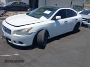 ✅ 2013 Nissan Maxima SV • VIN: 1N4AA5AP1DC835884 • Lot: 42715173. Listed on IAAI with Not provided. Free auction sales archive from the USA and detailed vehicle history report at DreamBid. Image 2.