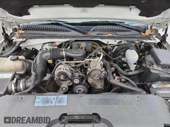 ✅ 2006 Chevrolet Silverado 1500 Work Truck • VIN: 3GCEC14X66G259168 • Lot: 87277545. Listed on Copart with 246,880 mi. Free auction sales archive from the USA and detailed vehicle history report at DreamBid. Image 11.