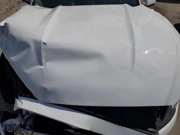 ✅ 2016 Ford Mustang V6 • VIN: 1FA6P8AM0G5308178 • Lot: 83791415. Listed on Copart with Not provided. Free auction sales archive from the USA and detailed vehicle history report at DreamBid. Image 11.