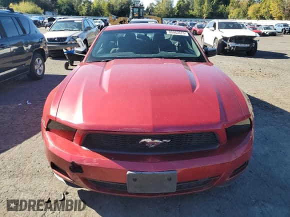 ✅ 2011 Ford Mustang Premium • VIN: 1ZVBP8AM4B5122769 • Лот: 86983875. Опубликован ранее на Copart с пробегом 171 604 миль. Бесплатный доступ к архиву аукционных продаж из США и подробный отчёт об истории автомобиля на DreamBid. Изображение 5.