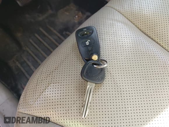 ✅ 2007 Hyundai Santa Fe SE • VIN: 5NMSH13E27H042520 • Lot: 43615797. Listed on IAAI with 236,954 mi. Free auction sales archive from the USA and detailed vehicle history report at DreamBid. Image 11.