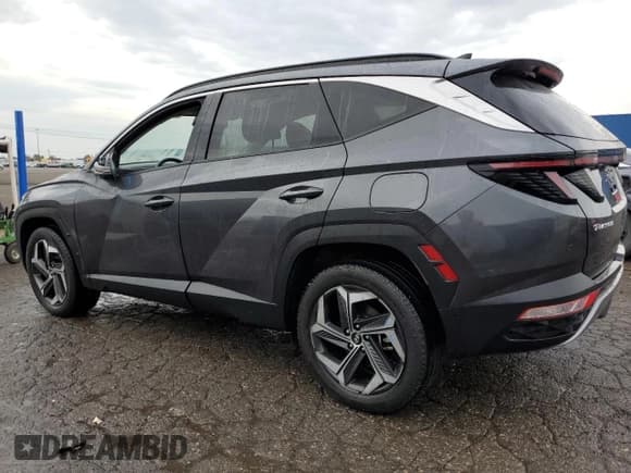 ✅ 2024 Hyundai Tucson Limited • VIN: 5NMJECDE3RH300285 • Lot: 78004384. Wystawiony na Copart z przebiegiem 34 402 mil. Bezpłatny archiwum sprzedaży aukcyjnych z USA i szczegółowy raport historii pojazdu na DreamBid. Zdjęcie 2.