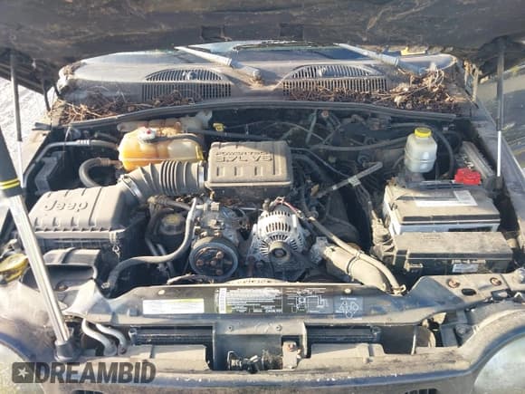 ✅ 2003 Jeep Liberty Limited • VIN: 1J4GL58K53W693779 • Лот: 43157366. Опубликован ранее на IAAI с пробегом 99 195 миль. Бесплатный доступ к архиву аукционных продаж из США и подробный отчёт об истории автомобиля на DreamBid. Изображение 10.