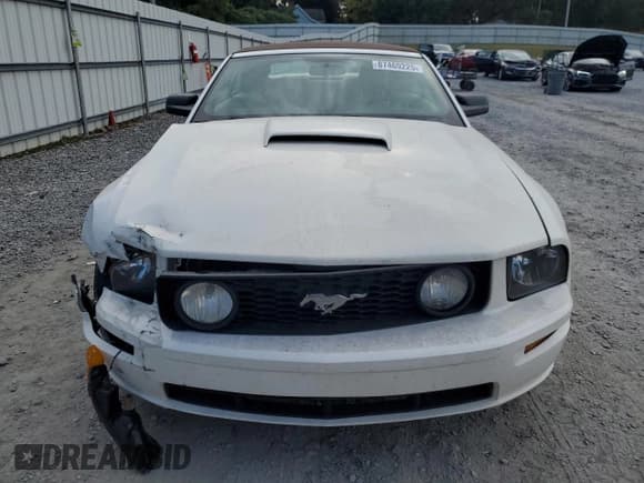 ✅ 2005 Ford Mustang GT Deluxe • VIN: 1ZVFT85H155194866 • Lot: 87469225. Listed on Copart with 179,049 mi. Free auction sales archive from the USA and detailed vehicle history report at DreamBid. Image 5.