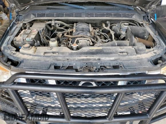 ✅ 2009 Nissan Titan LE • VIN: 1N6BA07C29N301937 • Lot: 63745565. Listed on Copart with 141,731 mi. Free auction sales archive from the USA and detailed vehicle history report at DreamBid. Image 11.