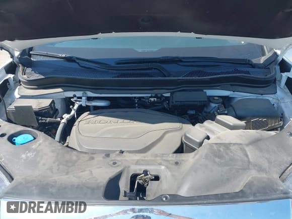 ✅ 2024 Honda Passport EX-L • VIN: 5FNYF8H57RB008563 • Лот: 42034543. Опубликован ранее на IAAI с пробегом 12 727 миль. Бесплатный доступ к архиву аукционных продаж из США и подробный отчёт об истории автомобиля на DreamBid. Изображение 10.