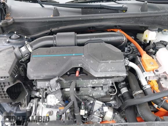 ✅ 2025 Kia Sportage LX • VIN: KNDPU3DG4S7196045 • Лот: 42214356. Опубликован ранее на IAAI с пробегом 2 692 миль. Бесплатный доступ к архиву аукционных продаж из США и подробный отчёт об истории автомобиля на DreamBid. Изображение 10.