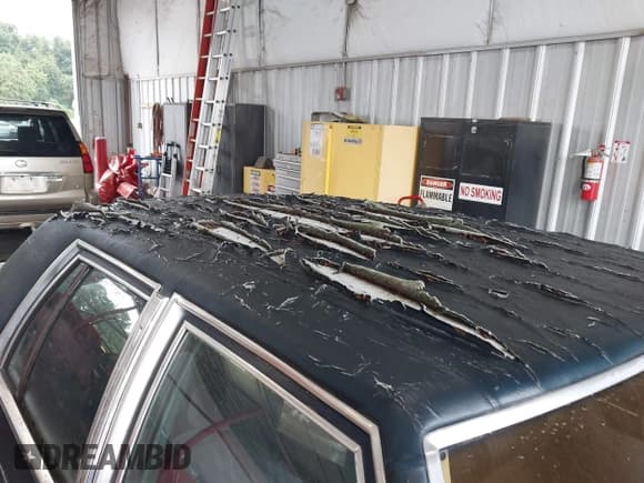 ✅ 1986 Ford Crown Victoria • VIN: 2FABP43F8GX203439 • Lot: 42902863. Wystawiony na IAAI z przebiegiem 1 642 mil. Bezpłatny archiwum sprzedaży aukcyjnych z USA i szczegółowy raport historii pojazdu na DreamBid. Zdjęcie 6.