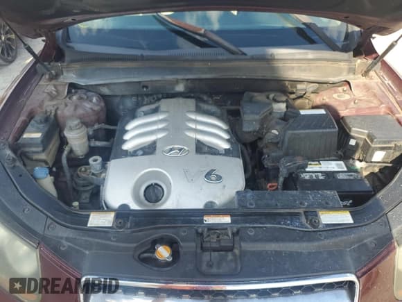 ✅ 2007 Hyundai Santa Fe SE • VIN: 5NMSH13E07H070719 • Lot: 74070584. Listed on Copart with 242,164 mi. Free auction sales archive from the USA and detailed vehicle history report at DreamBid. Image 12.