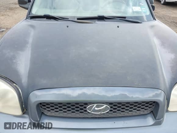 ✅ 2004 Hyundai Santa Fe GLS • VIN: KM8SC73D54U714336 • Лот: 42079721. Размещён на IAAI с пробегом 104 751 миль миль. Получите бесплатный доступ к архиву аукционных продаж из США и посмотрите подробный отчёт об истории автомобиля на DreamBid. Изображение 12.