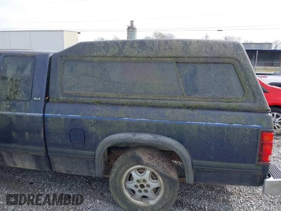 1995 Dodge Dakota с VIN 1B7GL23X0SS266233, выставлен на аукционе IAAI как лот 41864191 с пробегом 199 159 миль миль и . История ставок и продаж доступна на DreamBid. Изображение 6.