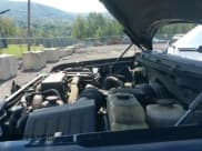 ✅ 2009 Ford F-150 XL • VIN: 1FTRW14899FB19462 • Lot: 43173510. Listed on IAAI with 195,631 mi. Free auction sales archive from the USA and detailed vehicle history report at DreamBid. Image 20.