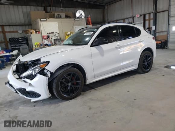 ✅ 2020 Alfa Romeo Stelvio Ti • VIN: ZASPAKBN1L7C89604 • Lot: 68083585. Wystawiony na Copart z przebiegiem 65 004 mil. Bezpłatny archiwum sprzedaży aukcyjnych z USA i szczegółowy raport historii pojazdu na DreamBid. Zdjęcie 1.