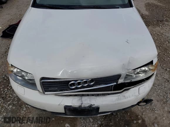 ✅ 2003 Audi A4 1.8T • VIN: WAULC68E13A313805 • Lot: 56977395. Wystawiony na Copart z przebiegiem Nie podano. Bezpłatny archiwum sprzedaży aukcyjnych z USA i szczegółowy raport historii pojazdu na DreamBid. Zdjęcie 11.