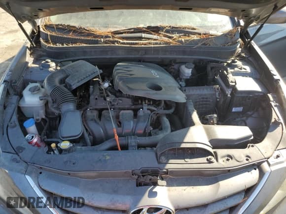 ✅ 2011 Hyundai Sonata GLS • VIN: 5NPEB4AC5BH266717 • Lot: 77600934. Listed on Copart with 162,396 mi. Free auction sales archive from the USA and detailed vehicle history report at DreamBid. Image 11.