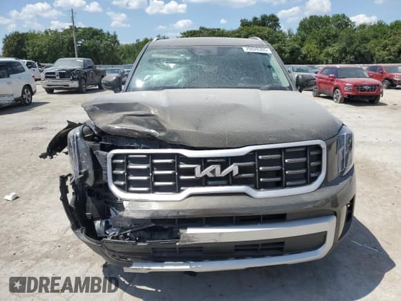 ✅ 2025 Kia Telluride S • VIN: 5XYP64GC9SG646624 • Lot: 70028305. Listed on Copart with 3,162 mi. Free auction sales archive from the USA and detailed vehicle history report at DreamBid. Image 5.