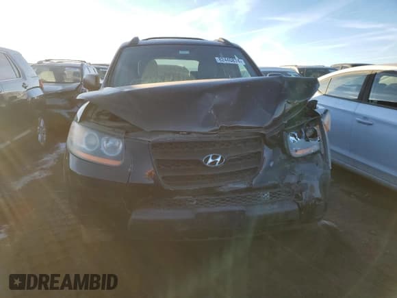 ✅ 2009 Hyundai Santa Fe GLS • VIN: 5NMSG73D89H286849 • Lot: 82440874. Listed on Copart with 179,827 mi. Free auction sales archive from the USA and detailed vehicle history report at DreamBid. Image 5.