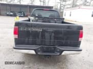 ✅ 1997 Dodge Dakota • VIN: 1B7GL23X2VS209651 • Lot: 41421859. Wystawiony na IAAI z przebiegiem 246 016 mil. Bezpłatny archiwum sprzedaży aukcyjnych z USA i szczegółowy raport historii pojazdu na DreamBid. Zdjęcie 16.