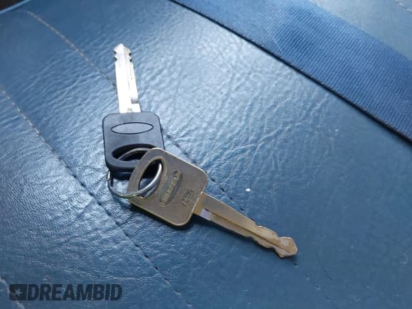 ✅ 1995 Ford F-150 • VIN: 1FTDF15Y2SNA03900 • Lot: 42128479. Wystawiony na IAAI z przebiegiem 262 871 mil. Bezpłatny archiwum sprzedaży aukcyjnych z USA i szczegółowy raport historii pojazdu na DreamBid. Zdjęcie 11.