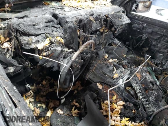 ✅ 2010 Dodge 1500 ST • VIN: 1D7RV1CT6AS197286 • Lot: 77401224. Wystawiony na Copart z przebiegiem Nie podano. Bezpłatny archiwum sprzedaży aukcyjnych z USA i szczegółowy raport historii pojazdu na DreamBid. Zdjęcie 8.