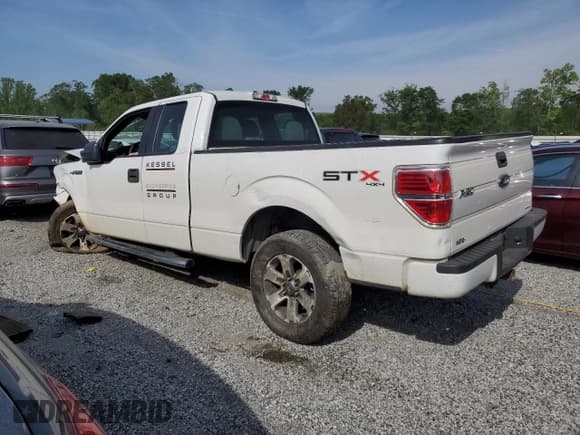 ✅ 2013 Ford F-150 XL • VIN: 1FTFX1EF8DFD70057 • Lot: 55306415. Listed on Copart with Not provided. Free auction sales archive from the USA and detailed vehicle history report at DreamBid. Image 2.