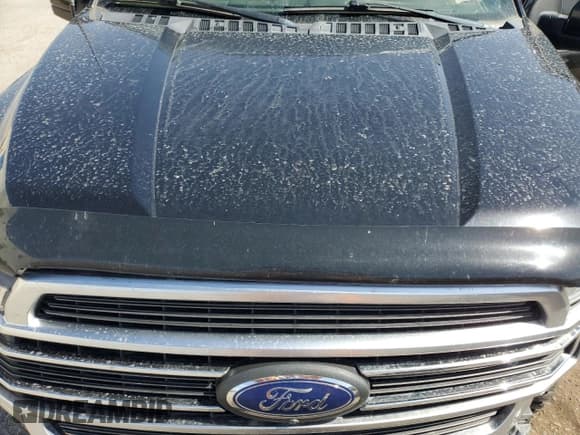 ✅ 2019 Ford F-150 Limited • VIN: 1FTEW1EG2KFC36794 • Lot: 64088825. Wystawiony na Copart z przebiegiem 228 210 mil. Bezpłatny archiwum sprzedaży aukcyjnych z USA i szczegółowy raport historii pojazdu na DreamBid. Zdjęcie 11.